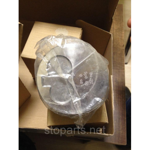 CNH, SHIBAURA SBA115016818 Pistons with rings